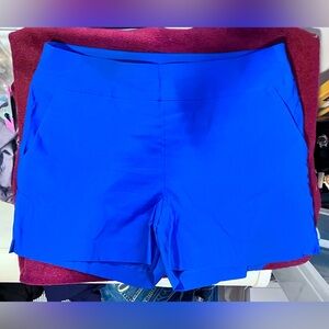 New York & Company Shorts